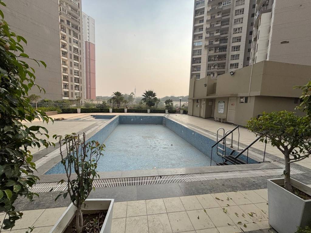 The 3C Lotus Panache