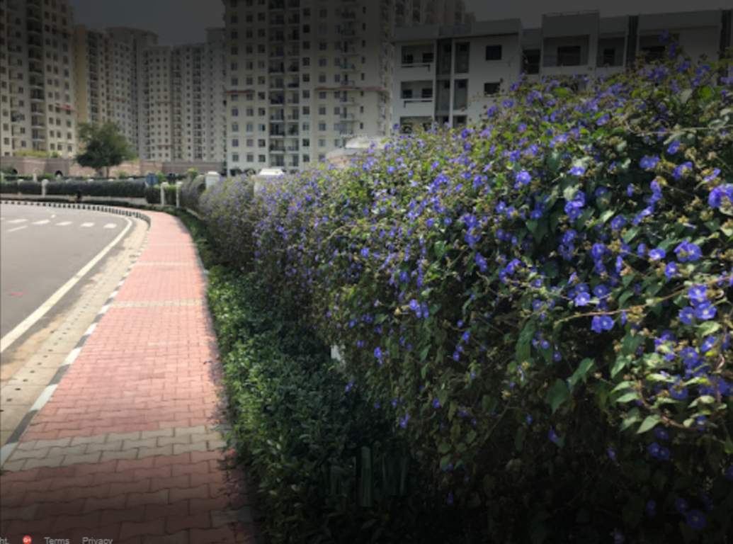  westend heights new town Paved Compound