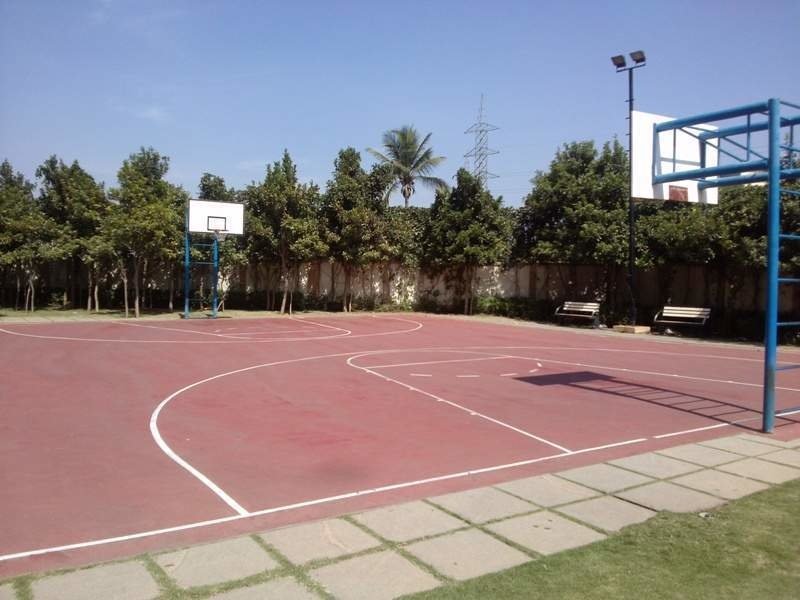  tranquil Basketball Court