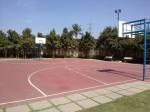 Basketball Court tranquil Basketball Court