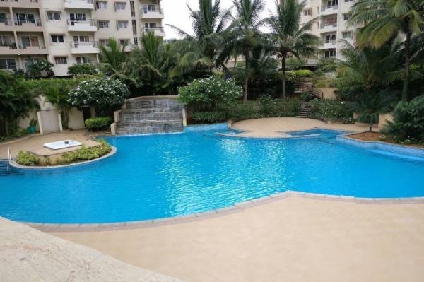 Swimming Pool tranquil Swimming Pool
