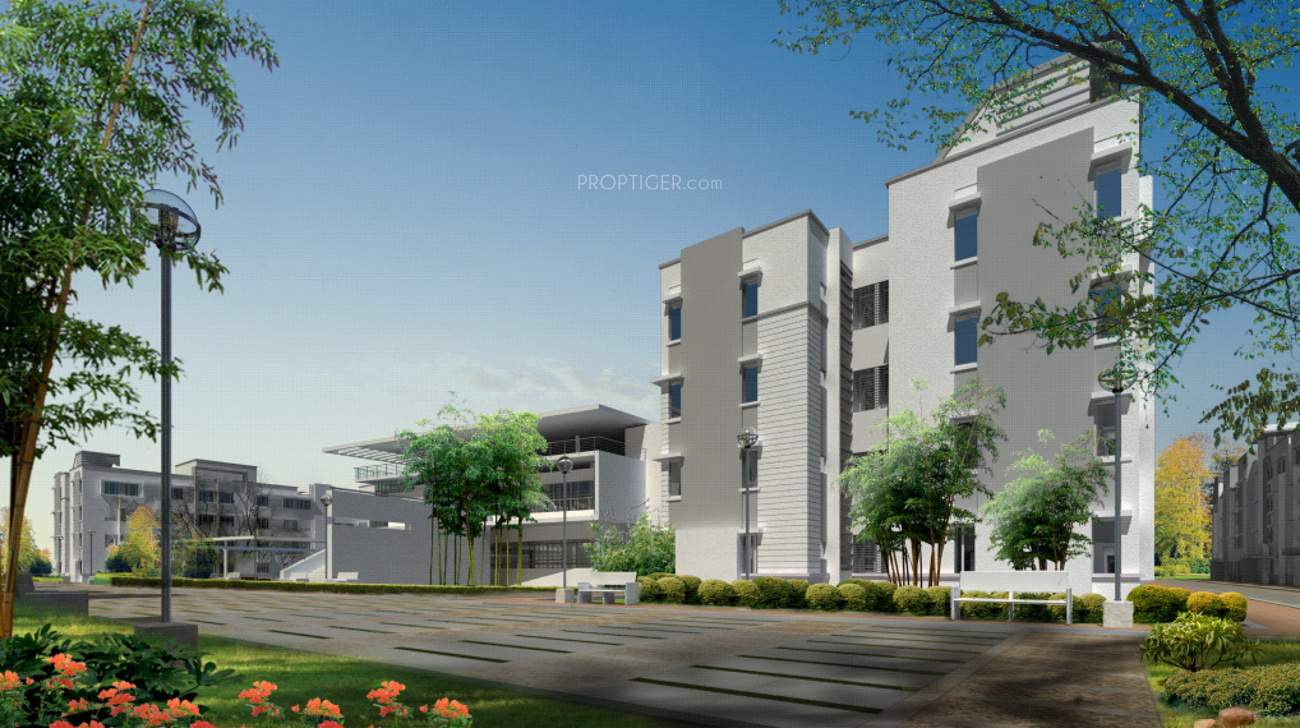 Images for Elevation of Provident Freedom