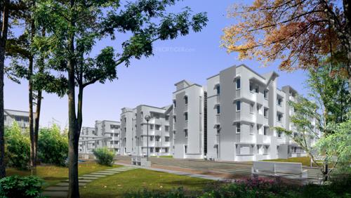 Images for Elevation of Provident Freedom