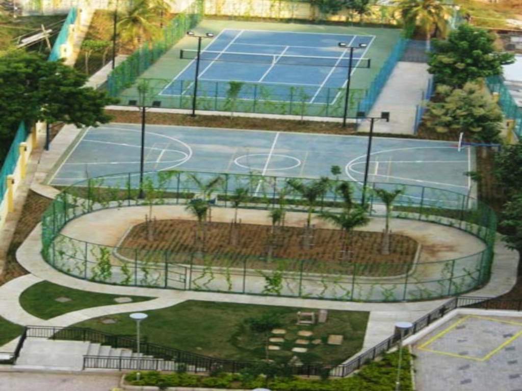  synergy 2 Basketball Court