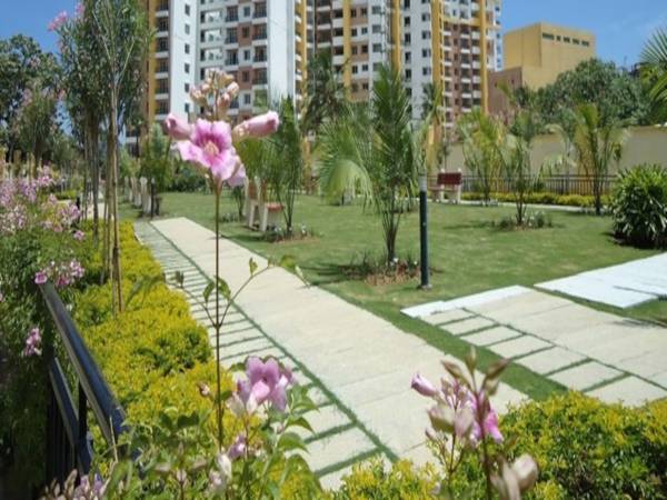  synergy-2 Landscaping & Tree Planting