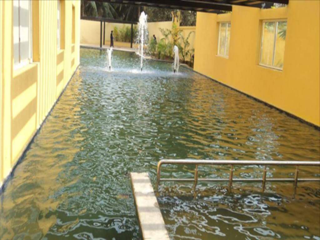  synergy 2 Swimming Pool