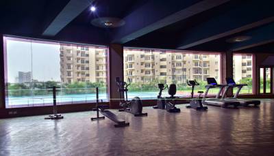  floraville Gymnasium