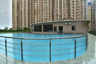  floraville Swimming Pool