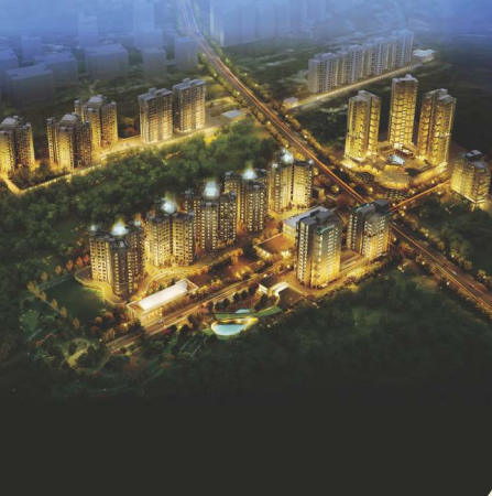 24k glitterati Elevation