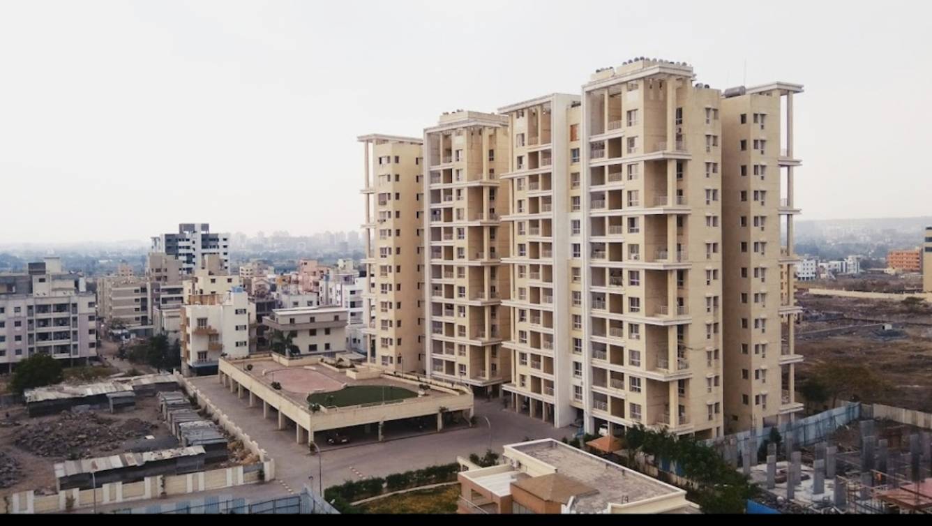  green olive Elevation