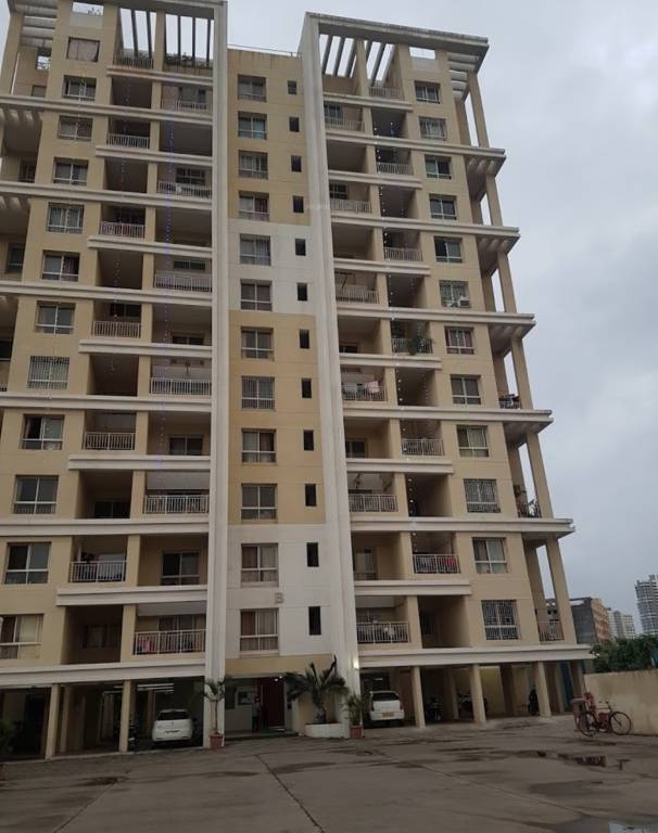  green olive Elevation