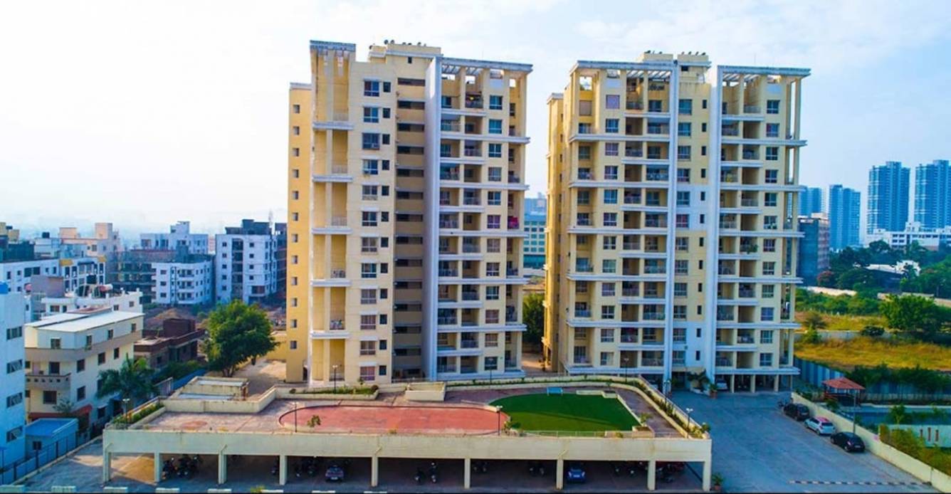  green olive Elevation