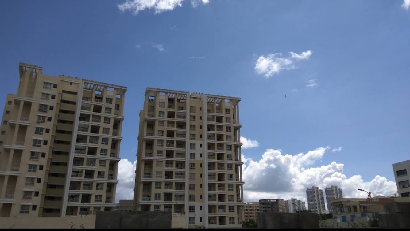  green olive Elevation