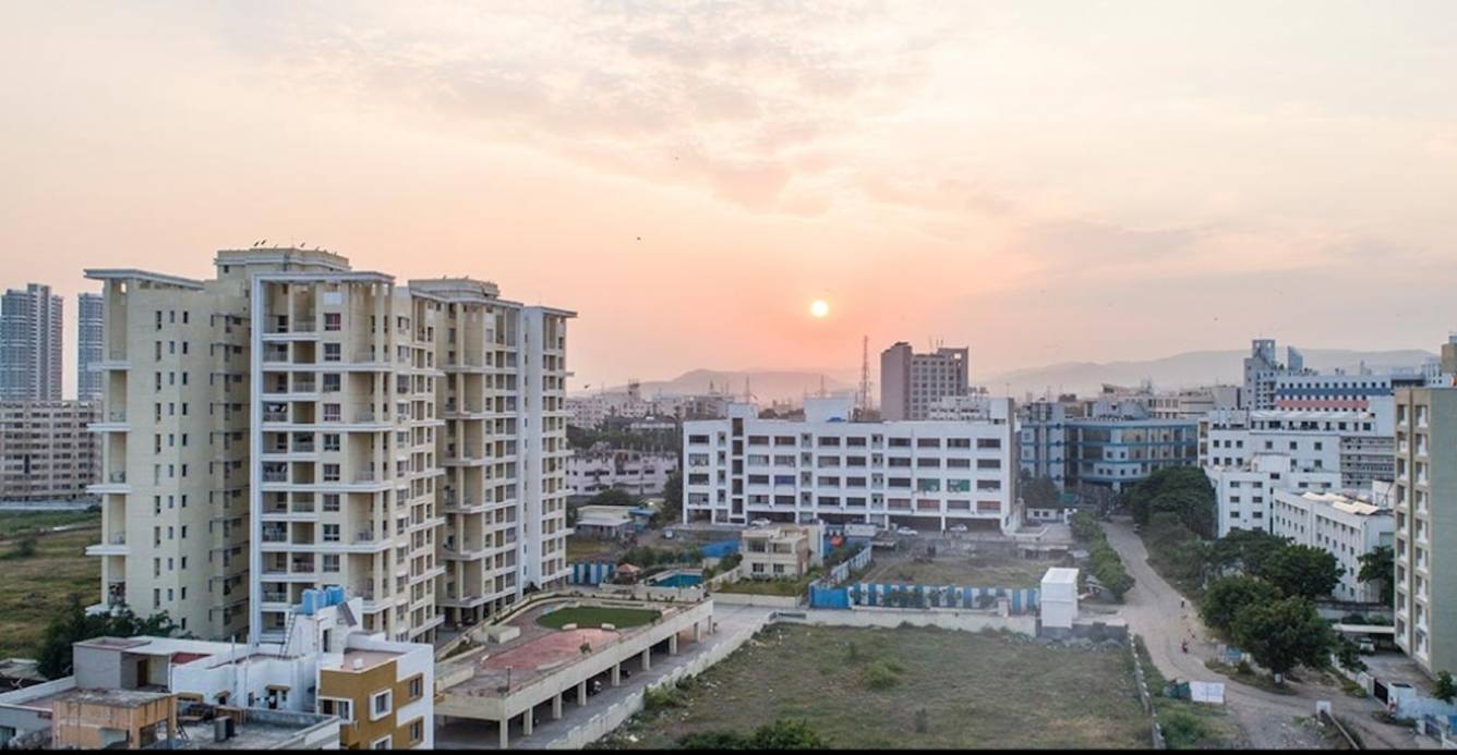  green olive Elevation