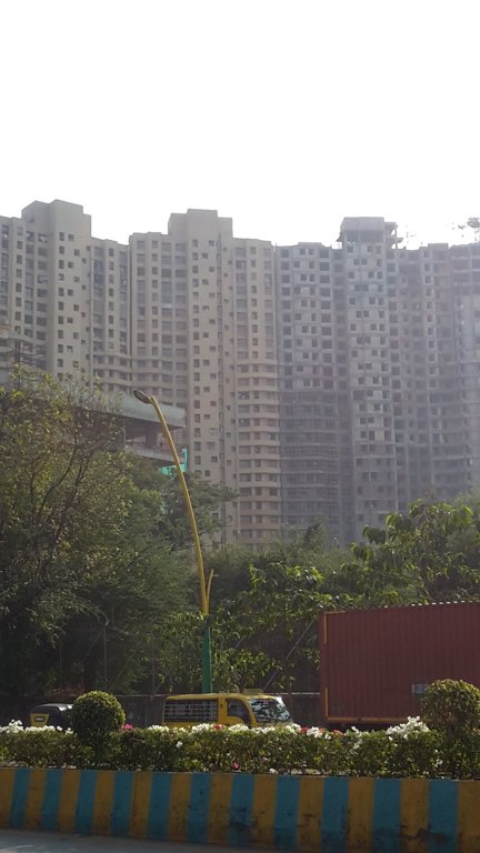 greenwoods Images for Project