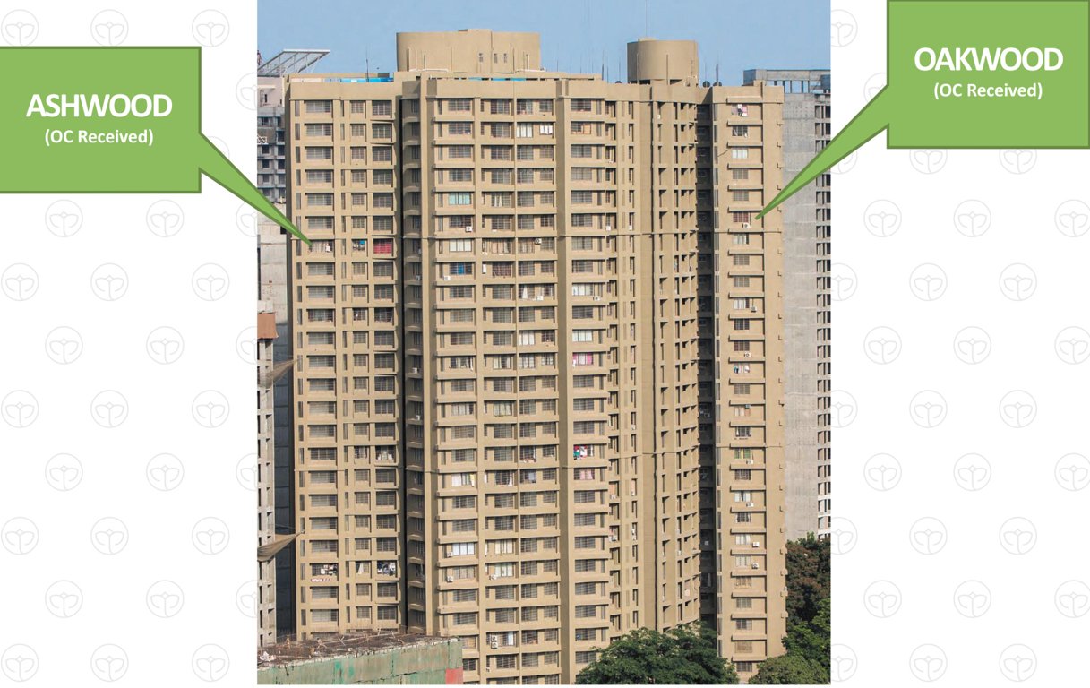 ozone Images for Elevation of ACME Ozone