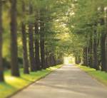 Images for Amenities of CHD Avenue 71