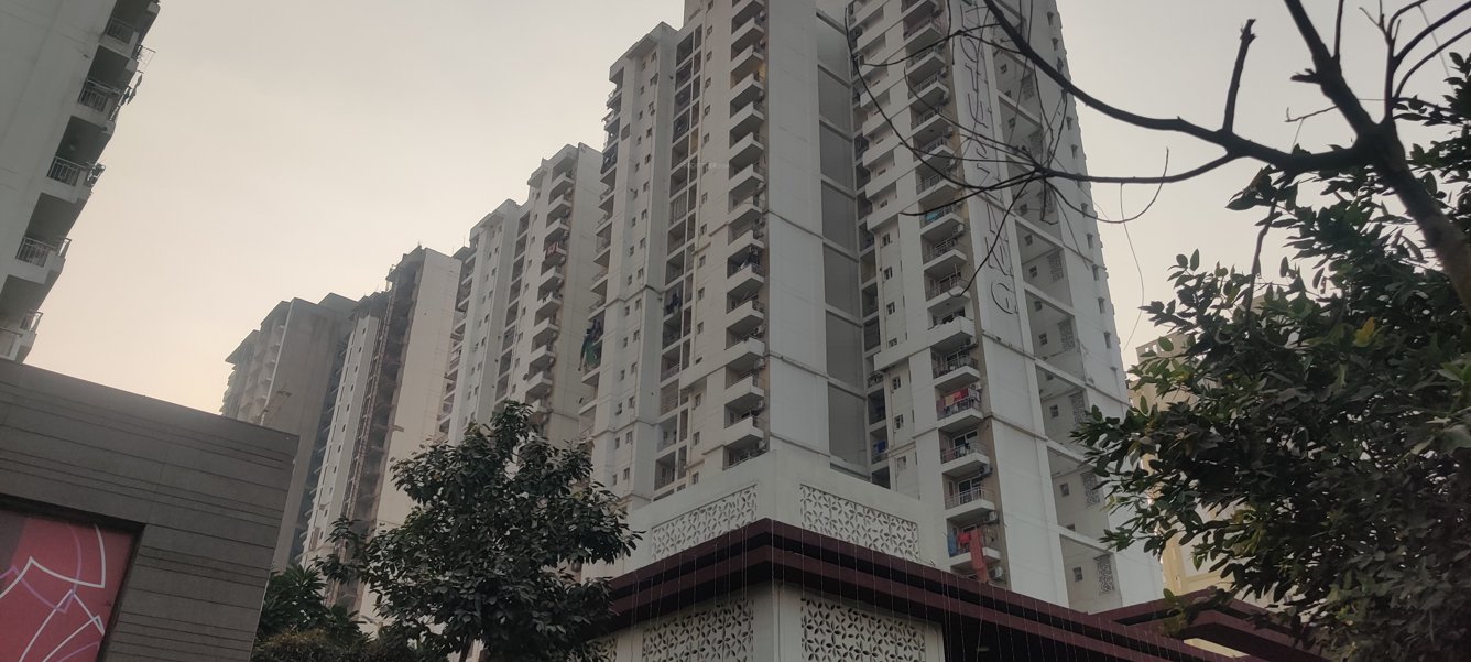 lotus zing Elevation