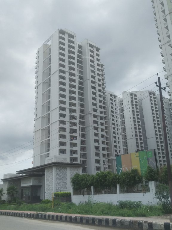 lotus zing Elevation