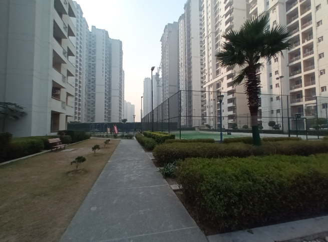 lotus zing Jogging Track