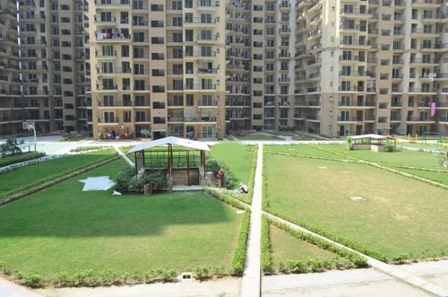  la-residentia Landscape Garden and Tree Planting