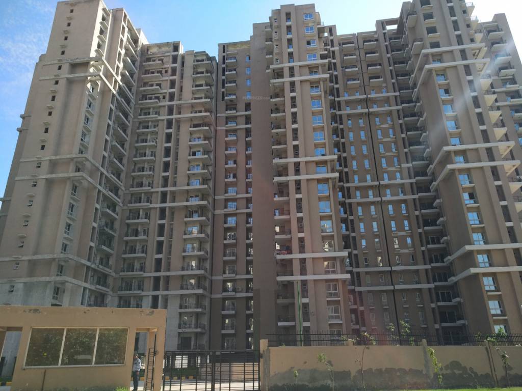  ncr greens Images for Project