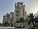 Palm Gardens