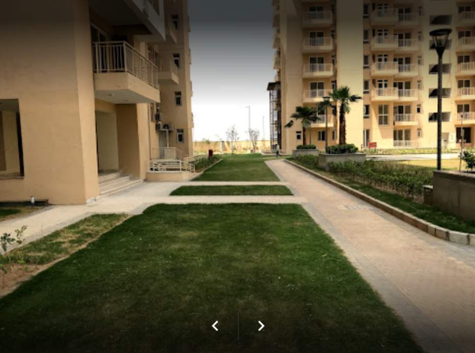  palm gardens Landscape Garden and Tree Planting