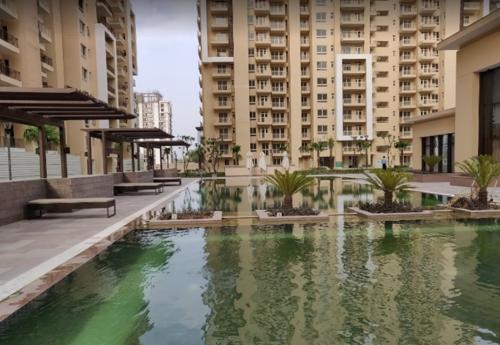 Swimming Pool palm-gardens Swimming Pool