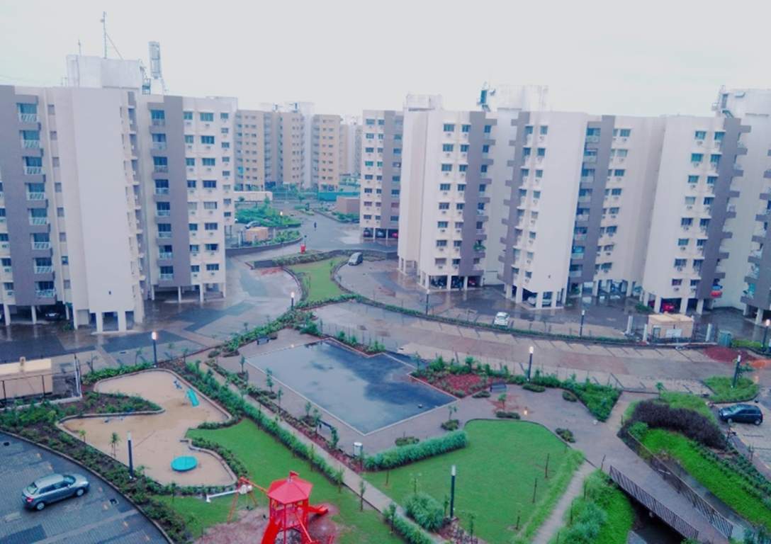 casa rio Landscape Garden and Tree Planting