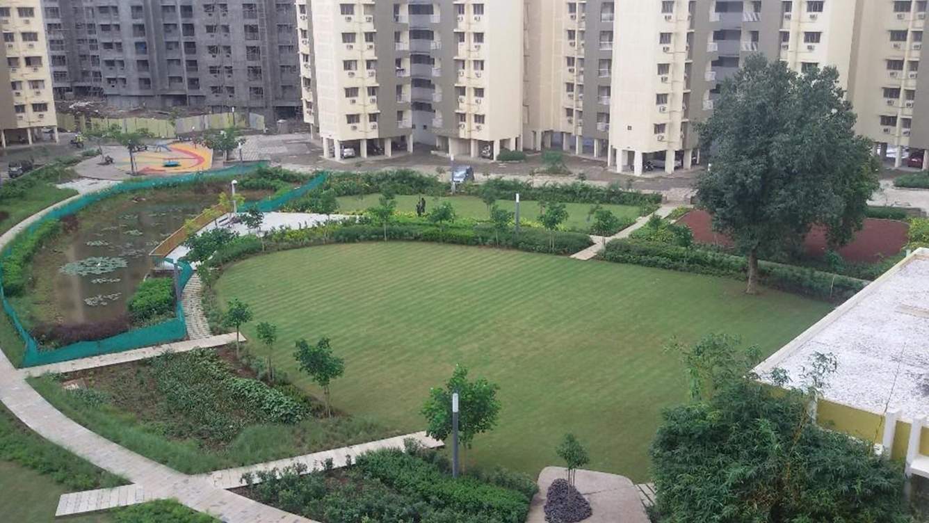 casa rio Landscape Garden and Tree Planting