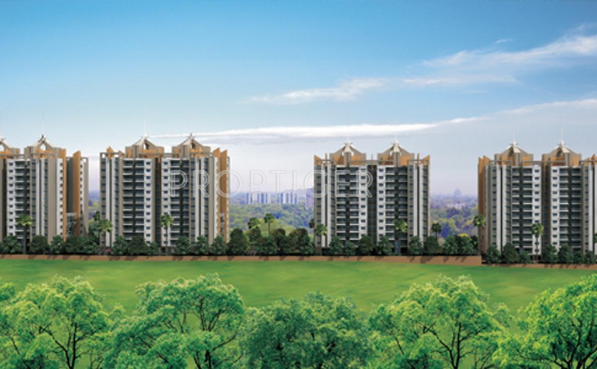 Images for Elevation of Pride Springfields