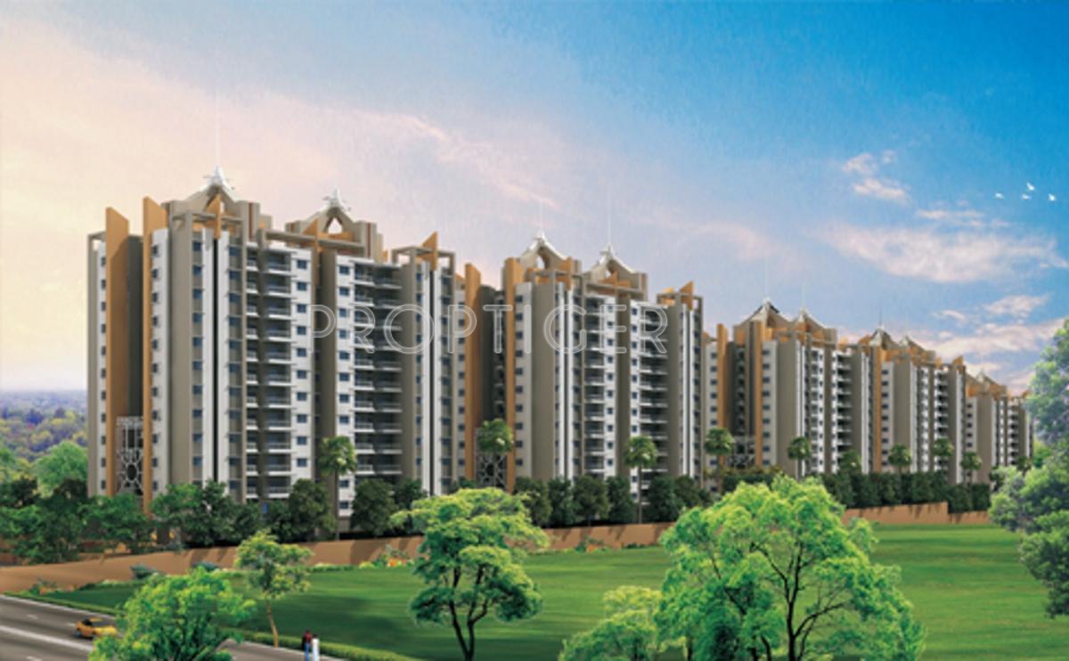 Images for Elevation of Pride Springfields