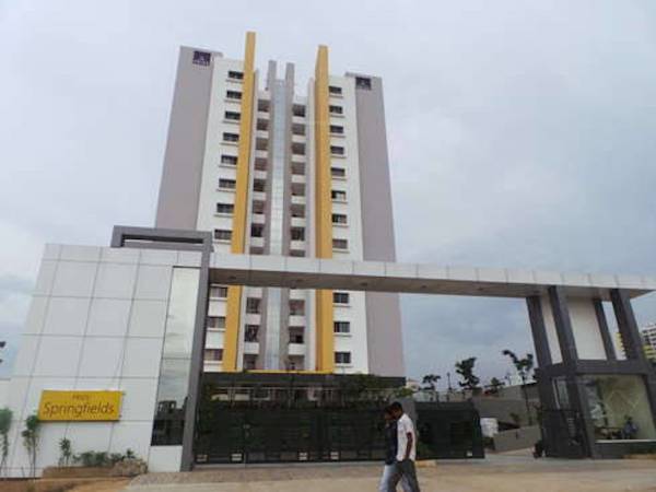  springfields Images for Project