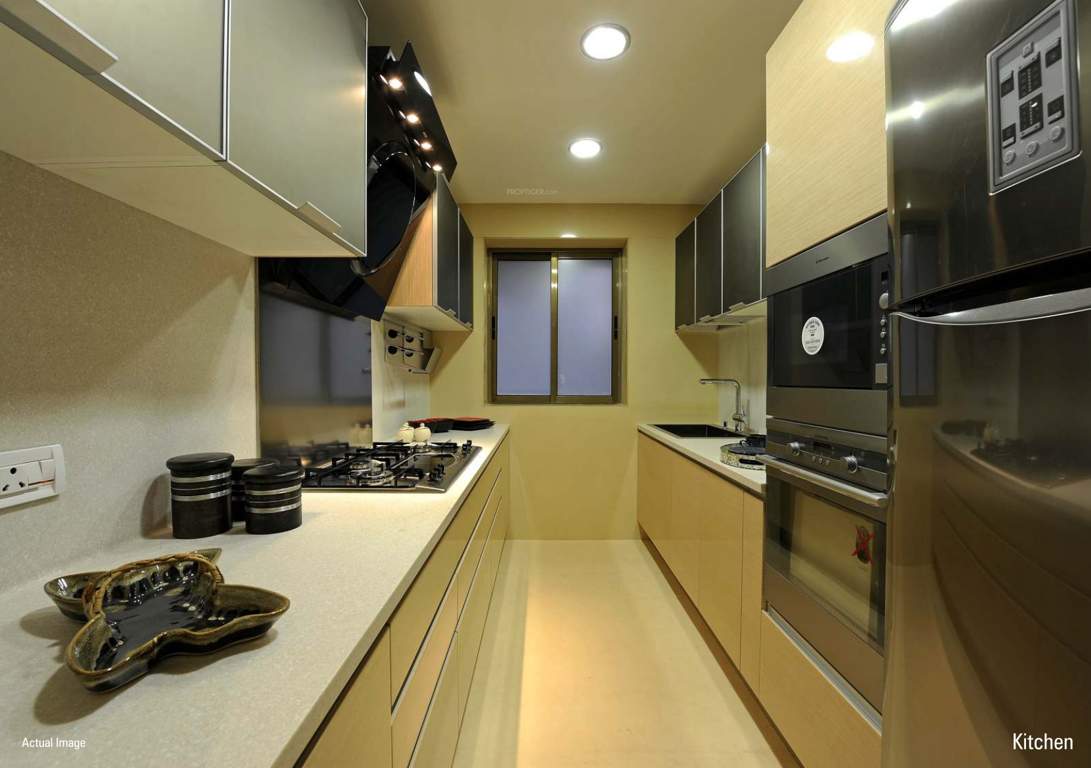 aura Images for Main Other of Kalpataru Aura