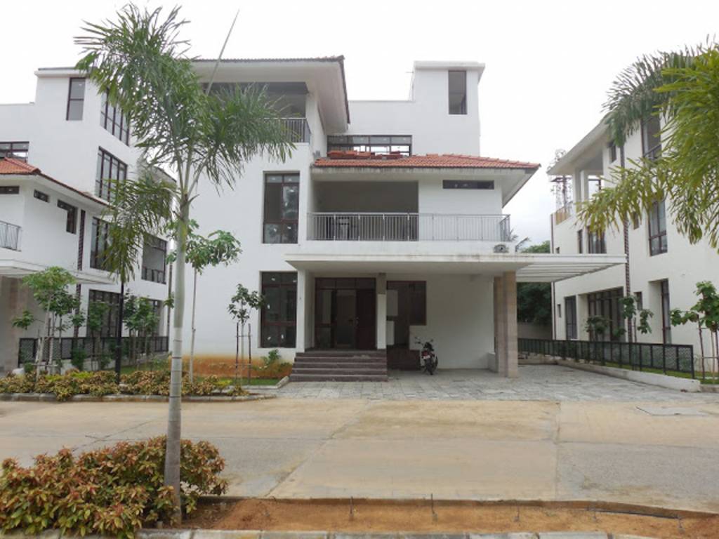 Images for Elevation of Olympia Panache