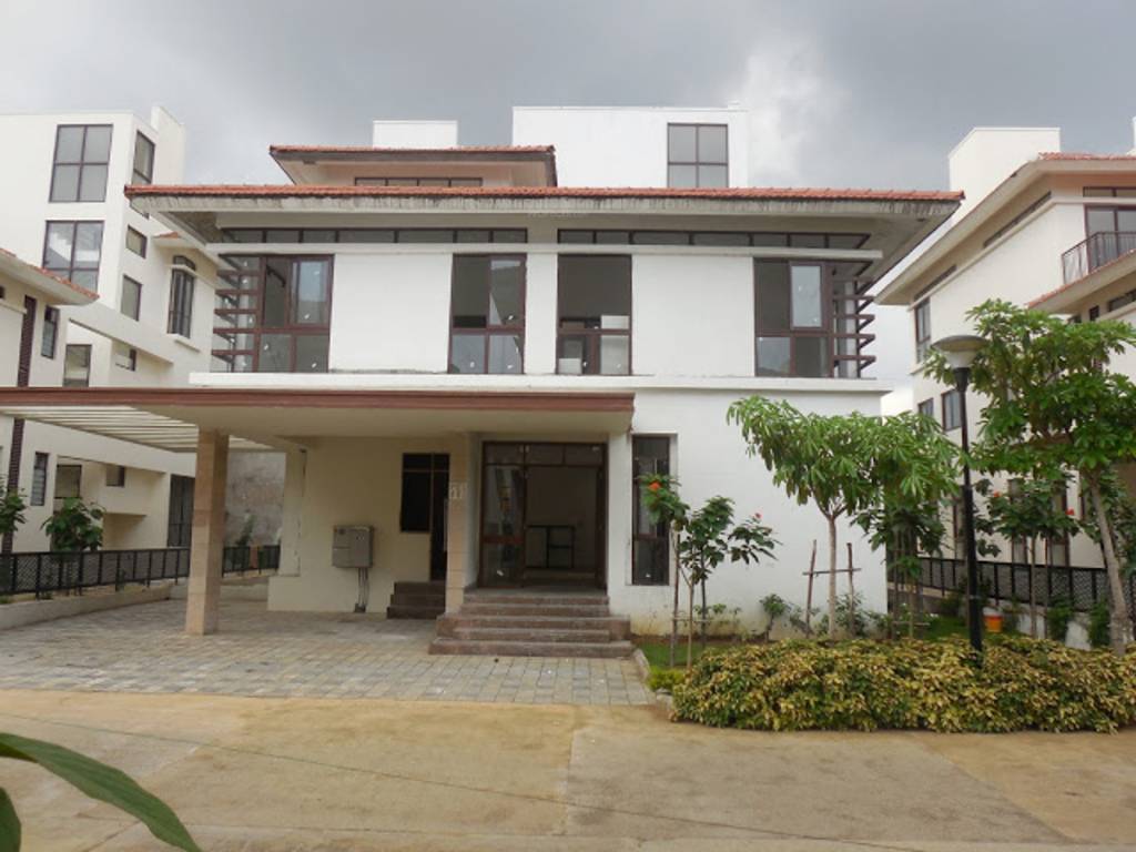 Images for Elevation of Olympia Panache