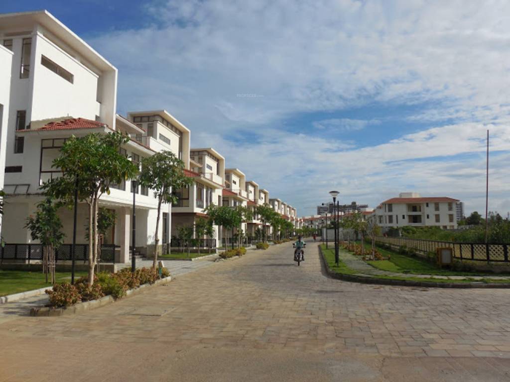 Images for Elevation of Olympia Panache