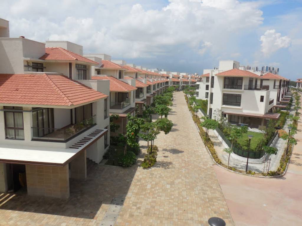 Images for Elevation of Olympia Panache