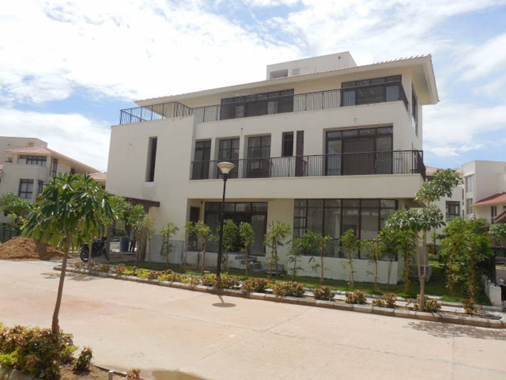 Images for Elevation of Olympia Panache