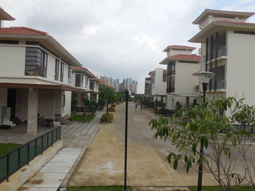 Images for Elevation of Olympia Panache