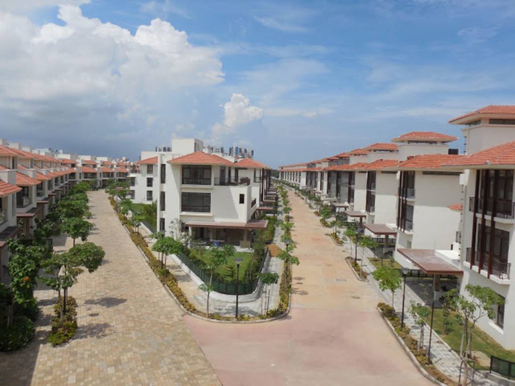 Images for Elevation of Olympia Panache