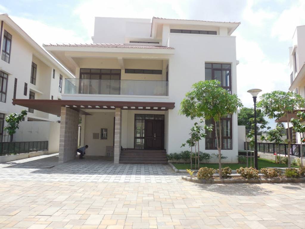 Images for Elevation of Olympia Panache