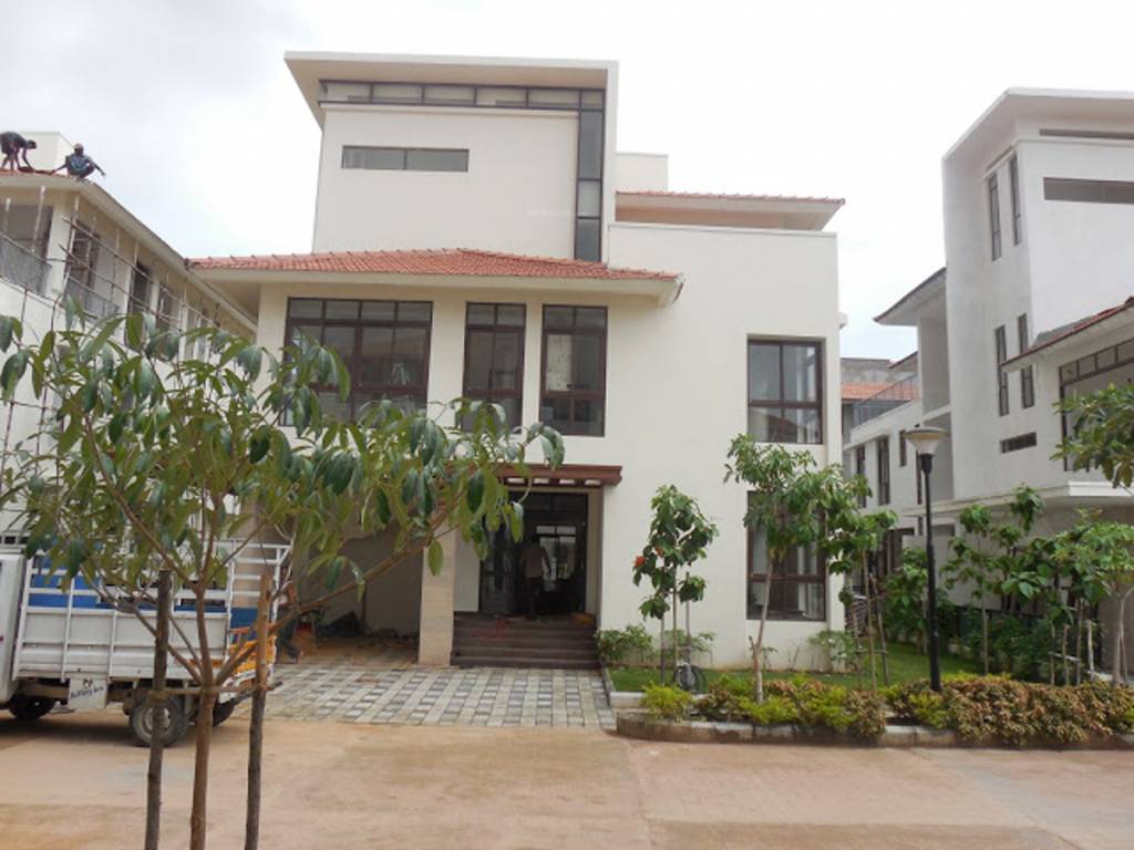 Images for Elevation of Olympia Panache