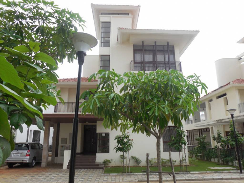 Images for Elevation of Olympia Panache