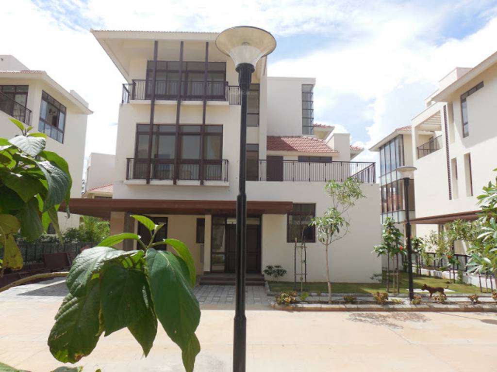 Images for Elevation of Olympia Panache