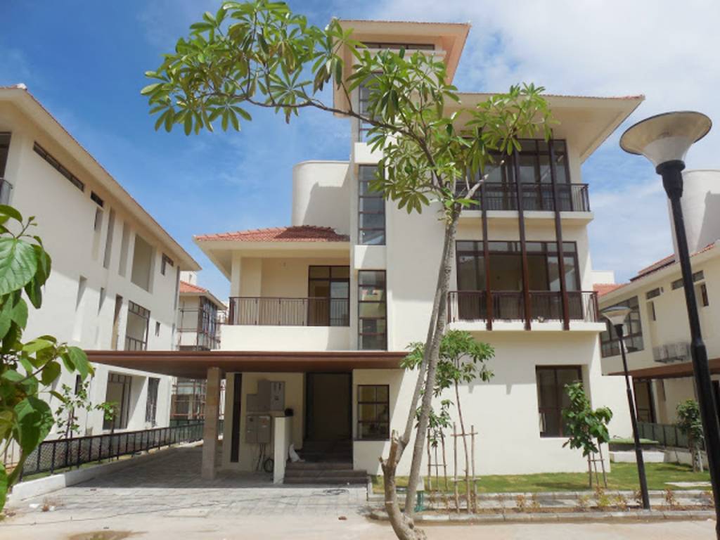 Images for Elevation of Olympia Panache