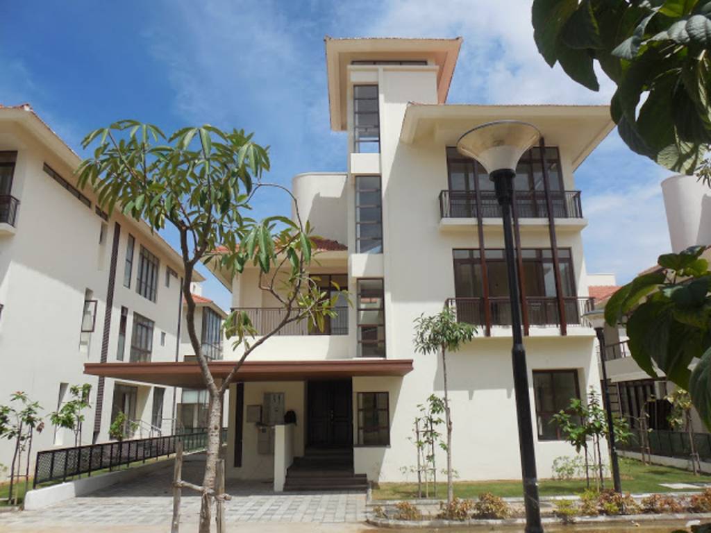 Images for Elevation of Olympia Panache