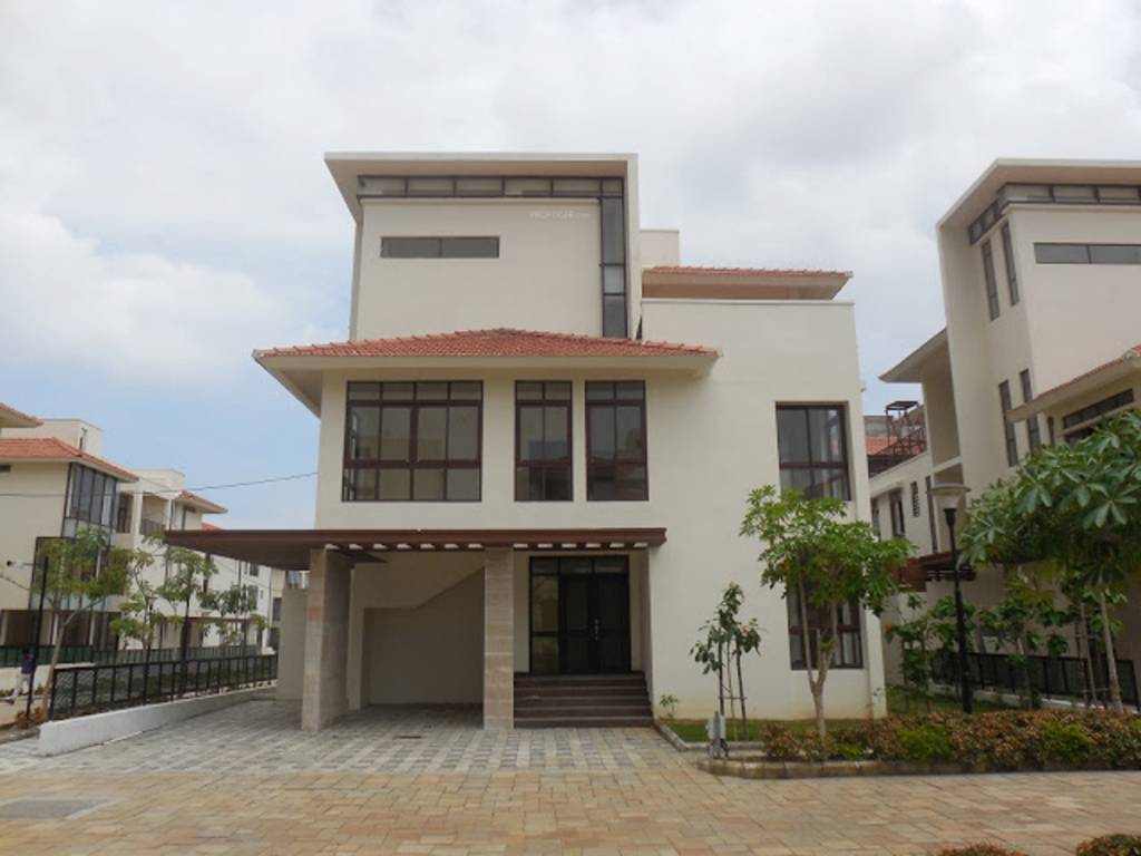 Images for Elevation of Olympia Panache