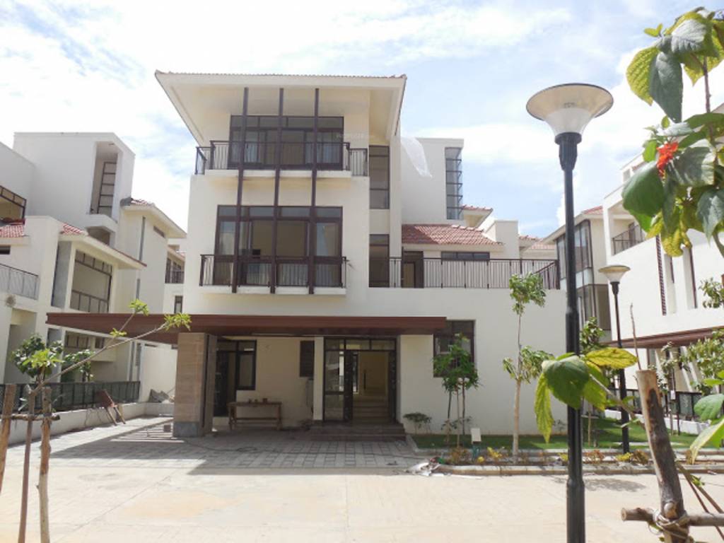 Images for Elevation of Olympia Panache